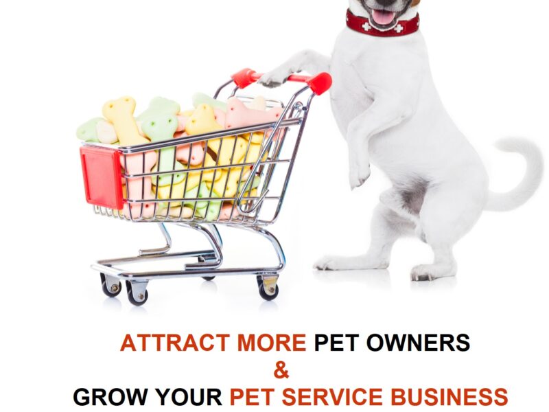 Digital Marketing For Pet Care Services